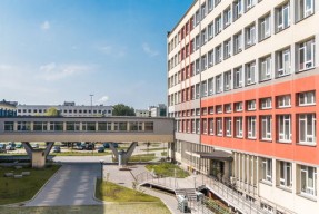 中国篮球青训教练员专业能力提升及培训体系建设，篮球青训师资格证好考么