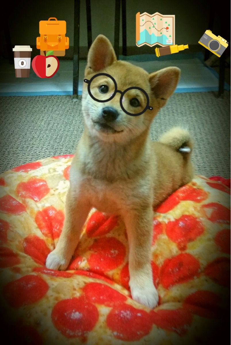 开云体育俱乐部官网-曼联在关键比赛中逆转取胜，追赶榜首竞争激烈